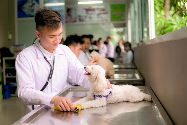 Xét tuyển ngành Thú Y