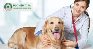 Cơ hội việc làm Trung cấp Thú y sau khi tốt nghiệp