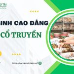 Tuyển sinh Cao đẳng Y học cổ truyền