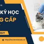 Đăng ký học Trung cấp Thú y chính quy