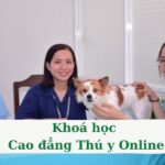 Khóa học Cao đẳng Thú y Online