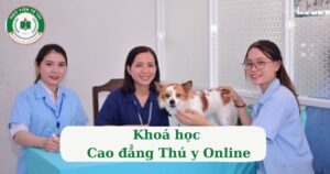 Khóa học Cao đẳng Thú y Online