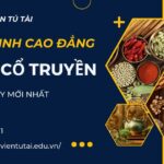 Khóa học Cao đẳng Y học cổ truyền chính quy