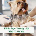 Khóa học Trung cấp Thú y Từ xa