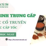 Tuyển sinh Trung cấp Y học cổ truyền Cấp tốc