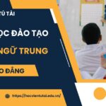 Đào tạo Cao đẳng Ngôn ngữ Trung