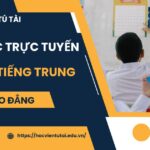 Khóa học Cao đẳng Tiếng Trung Trực tuyến