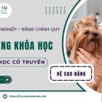 Khai giảng khóa học Cao đẳng ngành Y học cổ truyền