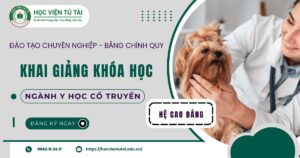 Khai giảng khóa học Cao đẳng ngành Y học cổ truyền