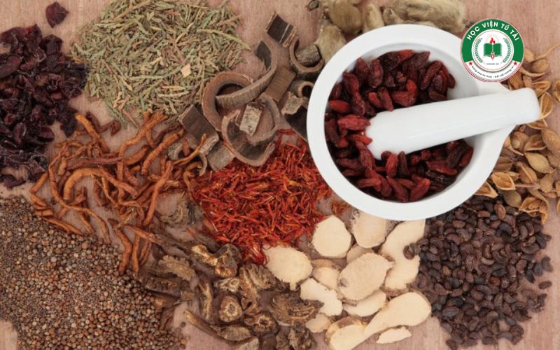 Khai giảng khóa học Cao đẳng ngành Y học cổ truyền 6 Xét tuyển khóa học Cao đẳng ngành Y học cổ truyền
