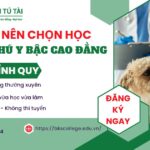 Vì sao nên chọn học ngành Thú y bậc Cao đẳng