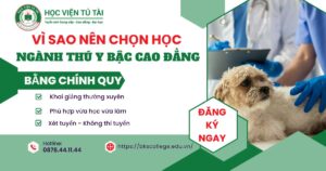 Vì sao nên chọn học ngành Thú y bậc Cao đẳng