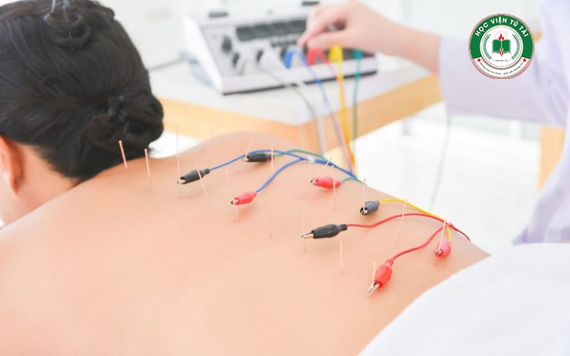 Khóa học liên thông Cao đẳng Y học cổ truyền 4 Tại sao nên học Liên thông Cao đẳng Y học cổ truyền