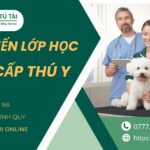 Xét tuyển lớp học Trung cấp Thú Y