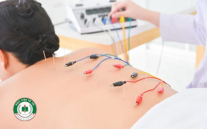 Vì sao nên học Liên thông Cao đẳng Y học cổ truyền ngay hôm nay? 6 Giá trị bằng liên thông Cao đẳng Y học cổ truyền