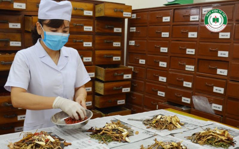 Tốt nghiệp Cao đẳng Y học cổ truyền ra làm gì? Mức lương có hấp dẫn không? 6 Mức thu nhập sau khi học Cao đẳng Y học cổ truyền có cao không?