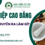 Tốt nghiệp Cao đẳng Y học cổ truyền ra làm gì?