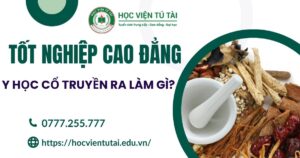 Tốt nghiệp Cao đẳng Y học cổ truyền ra làm gì?