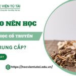 Tại sao nên học Trung cấp Y học cổ truyền?
