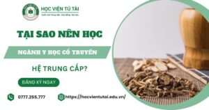 Tại sao nên học Trung cấp Y học cổ truyền?