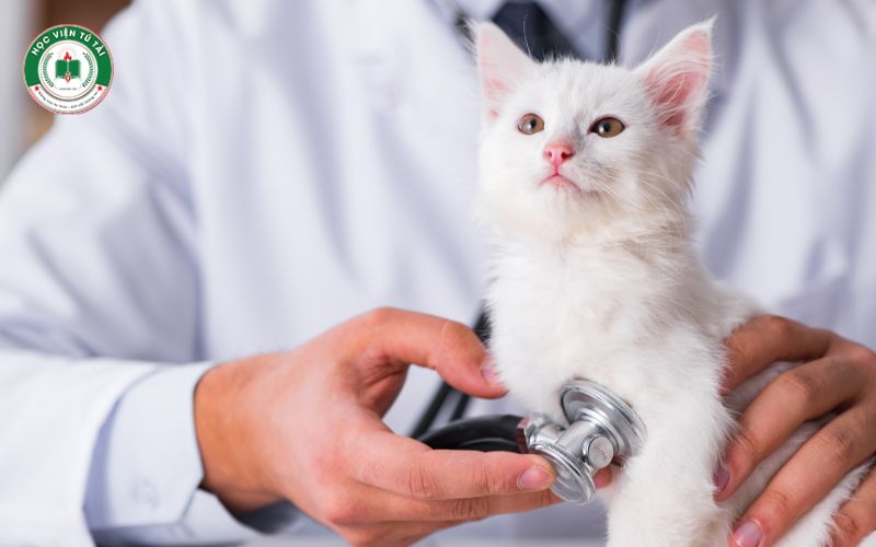 Cơ hội nghề nghiệp rộng mở sau khi tốt nghiệp Trung cấp Thú y vừa học vừa làm