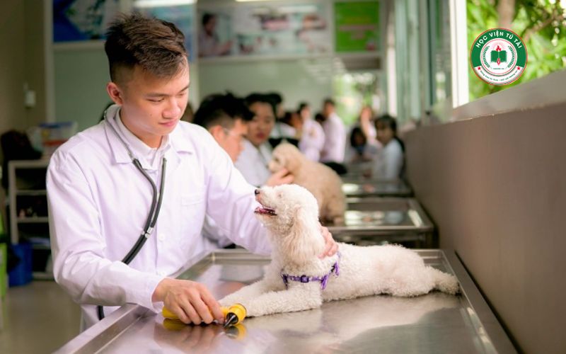 Đối tượng phù hợp với Cao đẳng ngành Thú y