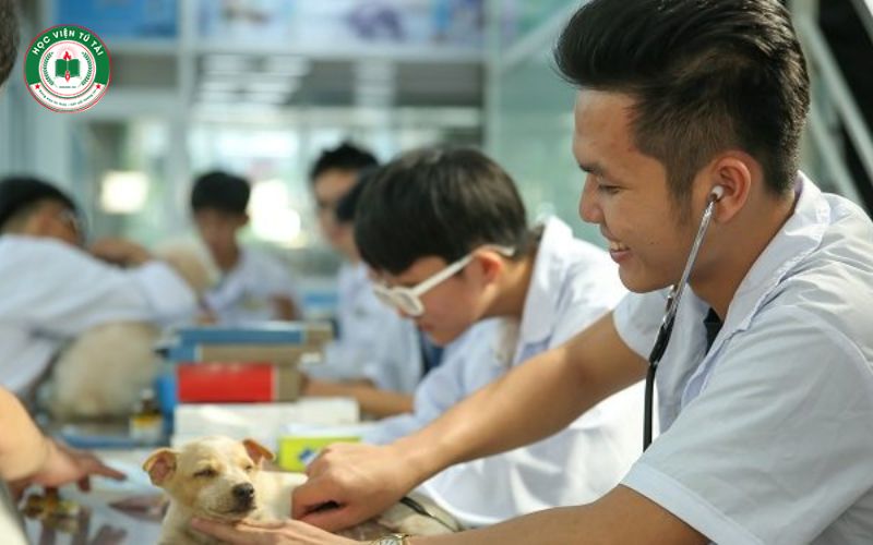 Vì sao nên học Cao đẳng ngành Thú y?