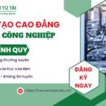 Đào tạo Cao đẳng Điện công nghiệp tại TPHCM