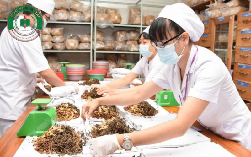 Cơ hội việc làm sau khi học xong Khóa học Trung cấp Y học Cổ truyền