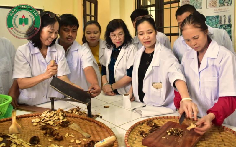Giới thiệu về khóa học Trung cấp Y học Cổ truyền