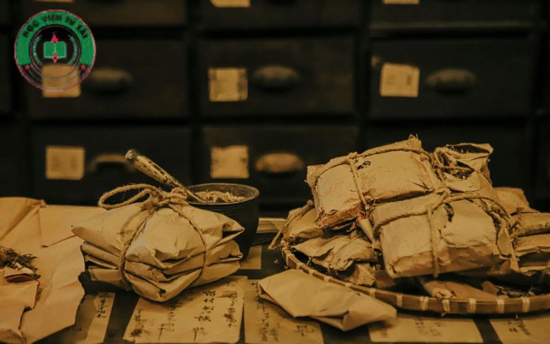 Địa chỉ học Trung cấp Y học cổ truyền Từ xa uy tín tại Bình Phước 4 Học Trung cấp Y học Cổ truyền Từ xa tại Bình Phước