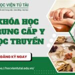 Khóa học Trung cấp Y học Cổ truyền [ CẬP NHẬT MỚI NHẤT ]