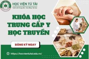 Khóa học Trung cấp Y học Cổ truyền [ CẬP NHẬT MỚI NHẤT ]