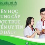 Nên học Trung cấp Dược Trực tuyến Uy tín Ở đâu?
