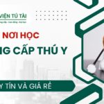 Học Trung cấp Thú y ở đâu uy tín?