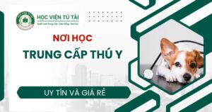 Học Trung cấp Thú y ở đâu uy tín?