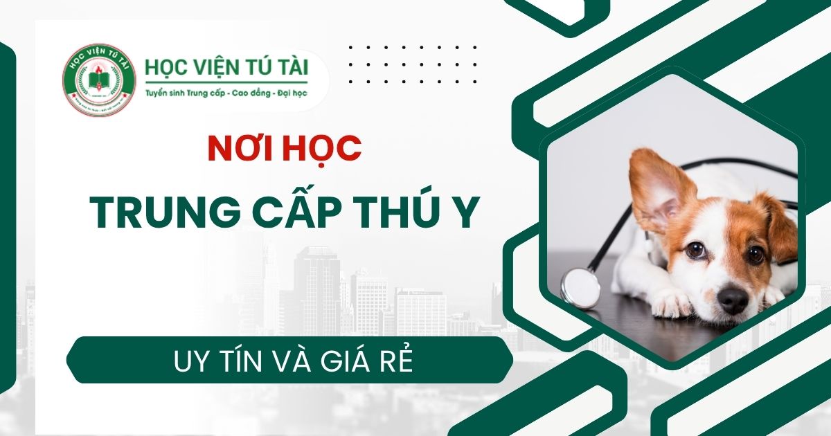 Học Trung cấp Thú y ở đâu uy tín?