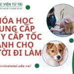 Khóa học Trung cấp Thú y Cấp tốc dành cho người đi làm