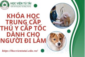 Khóa học Trung cấp Thú y Cấp tốc dành cho người đi làm