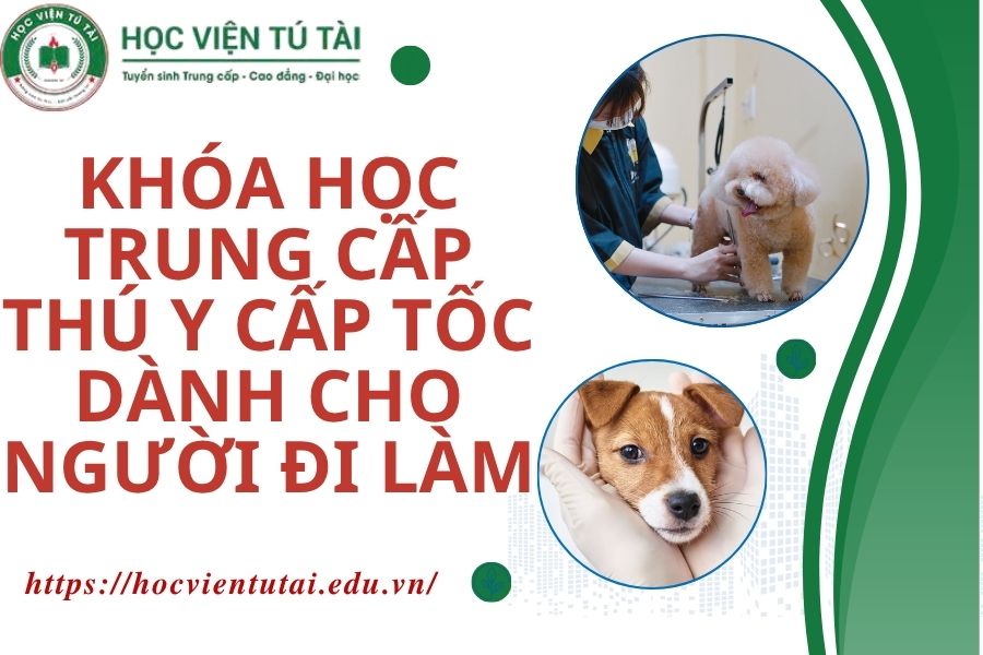 Khóa học Trung cấp Thú y Cấp tốc dành cho người đi làm