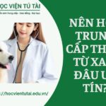 Nên học Trung cấp Thú y Từ xa ở đâu uy tín? 7 Nên học Trung cấp Thú y Từ xa ở đâu uy tín?