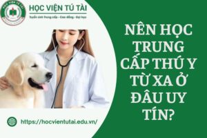 Nên học Trung cấp Thú y Từ xa ở đâu uy tín?