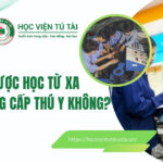 Có được học từ xa Trung cấp Thú Y không? 7 Có được học Trung cấp Thú Y từ xa