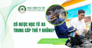 Có được học Trung cấp Thú Y từ xa