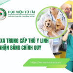 Học từ xatrung cấp Thú y