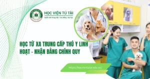 Học từ xatrung cấp Thú y
