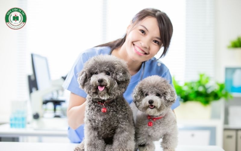 Có được học từ xa Trung cấp Thú y không?