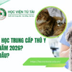 Trung cấp Thú y từ xa
