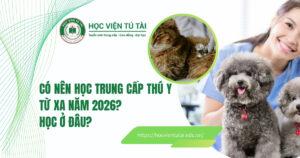 Trung cấp Thú y từ xa