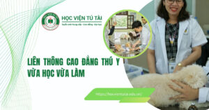 Liên thông Cao đẳng thú y vừa học vừa làm mới nhất